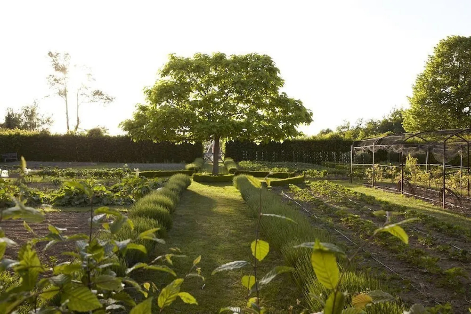 La Borde Maison d'Hôtes et Spa
