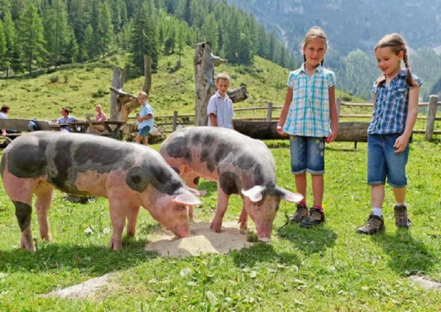 Apartment Gästehaus Luggau
