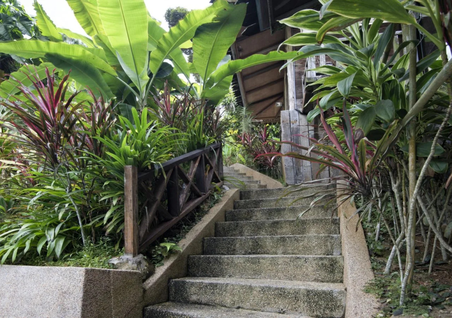 Fig Tree Hill Resort