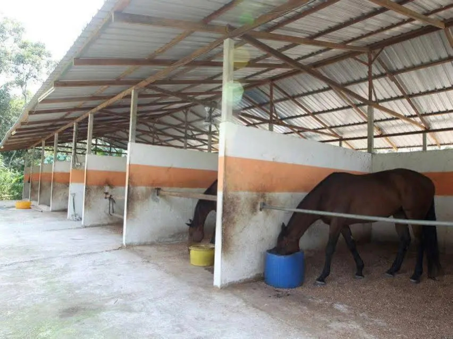Homestay Rawa Hilir