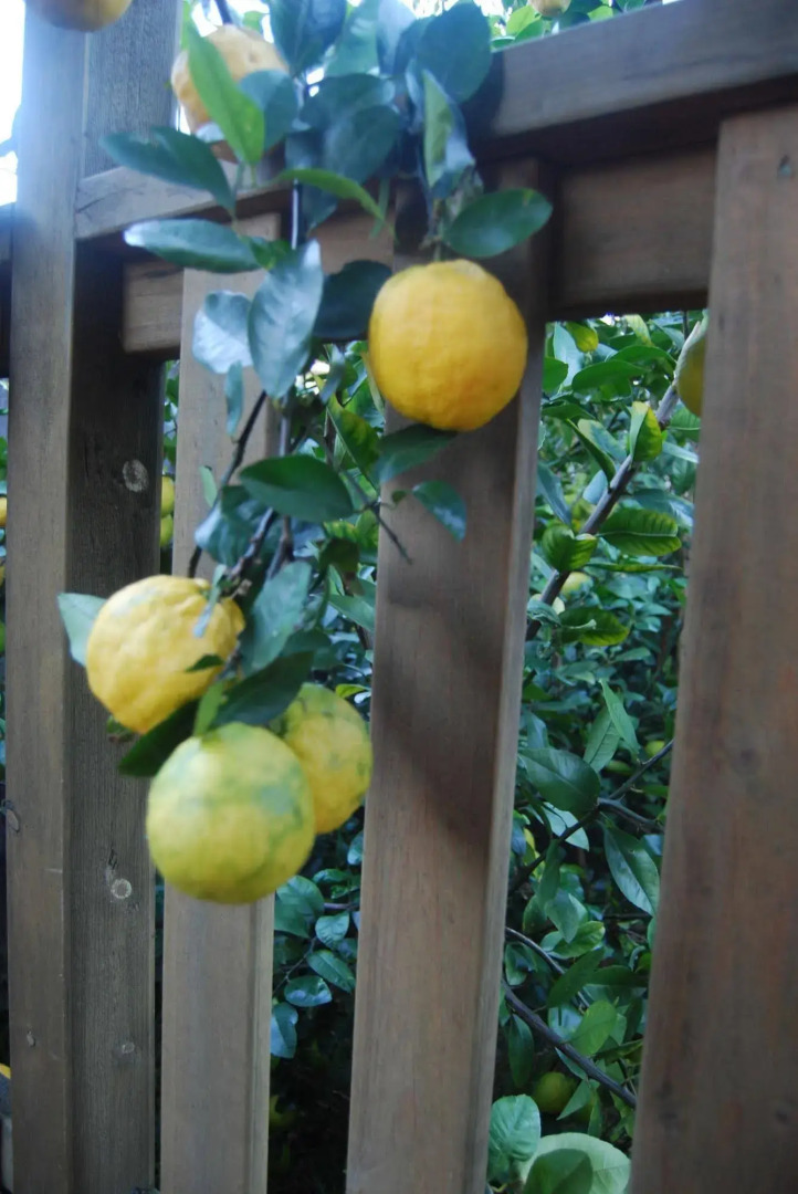 Cutmore Cottages - Highclaire House