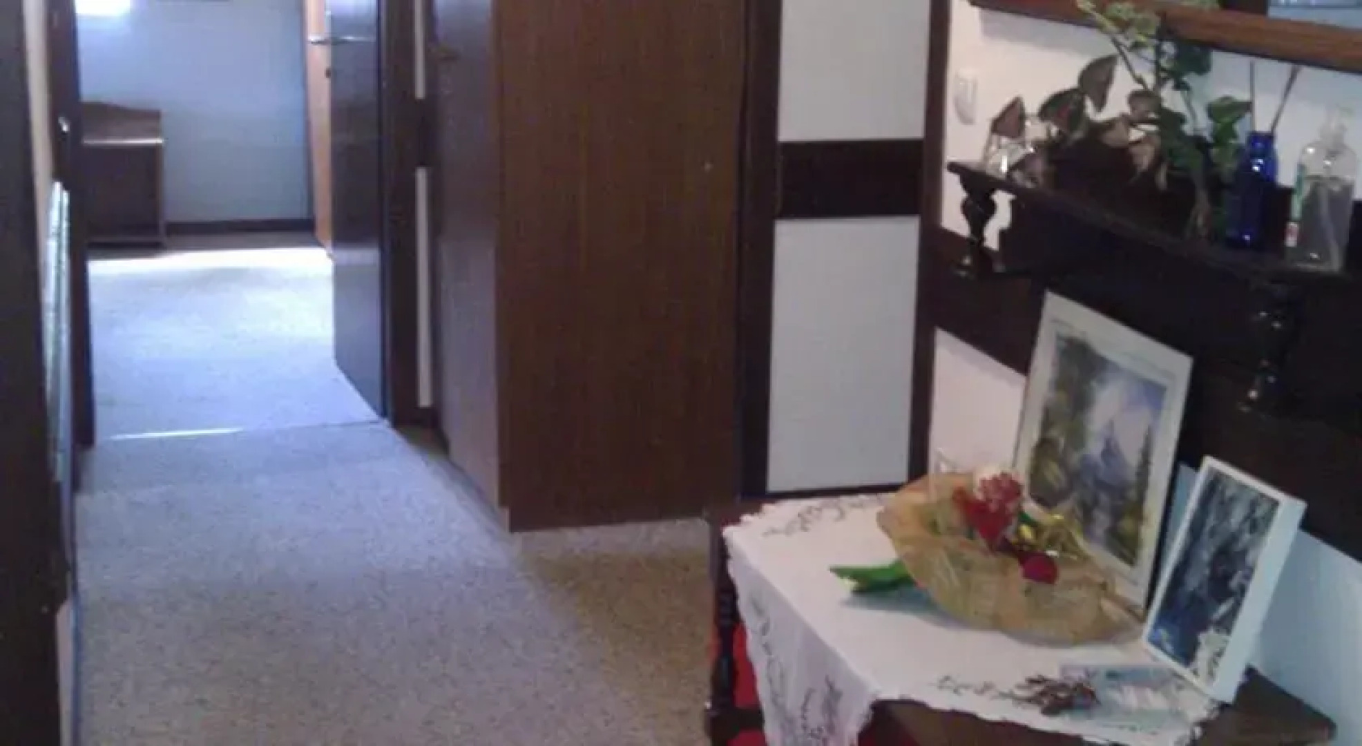 Guest House Slovenija Avto