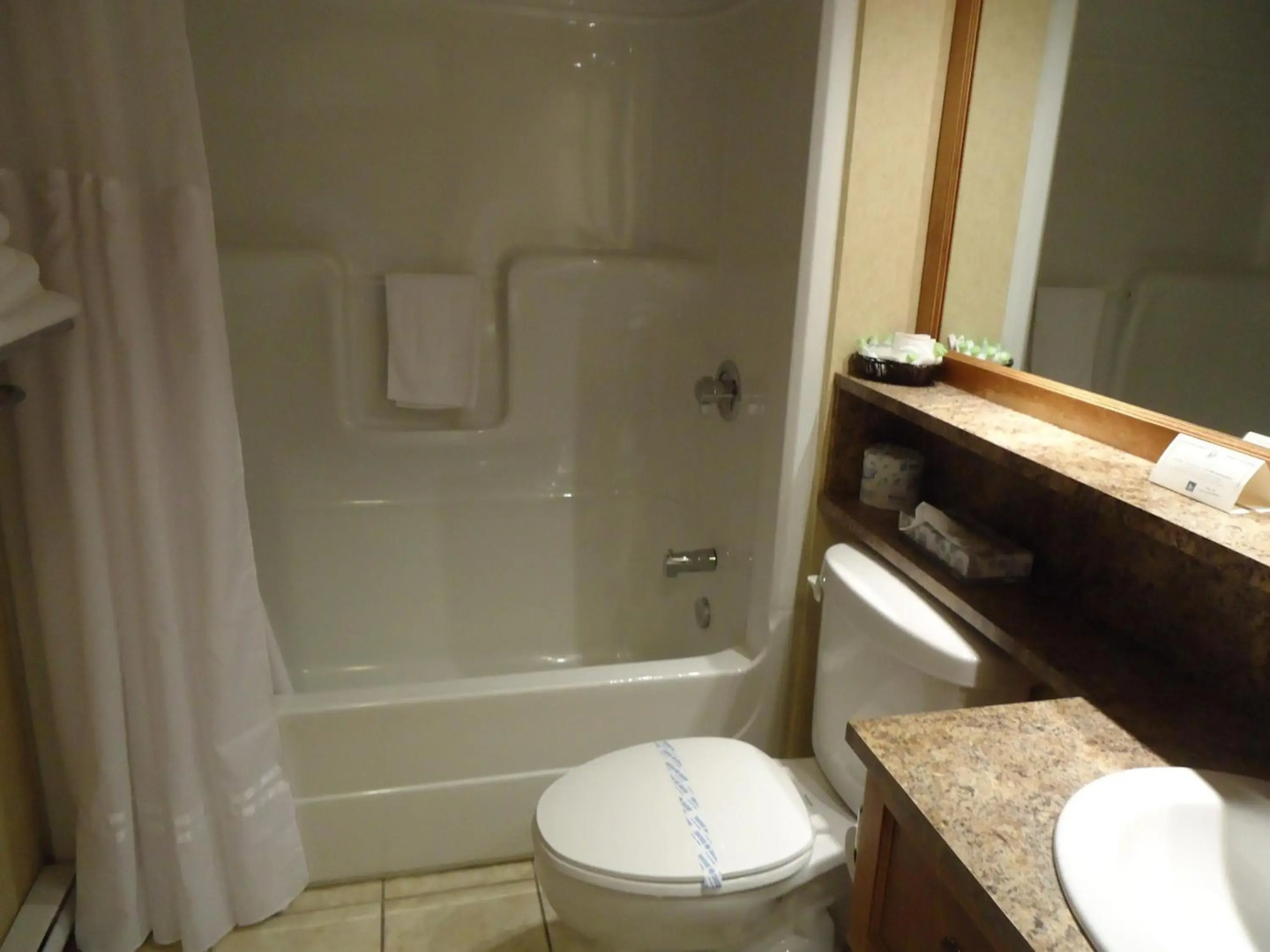 Hotel L'Oie des neiges