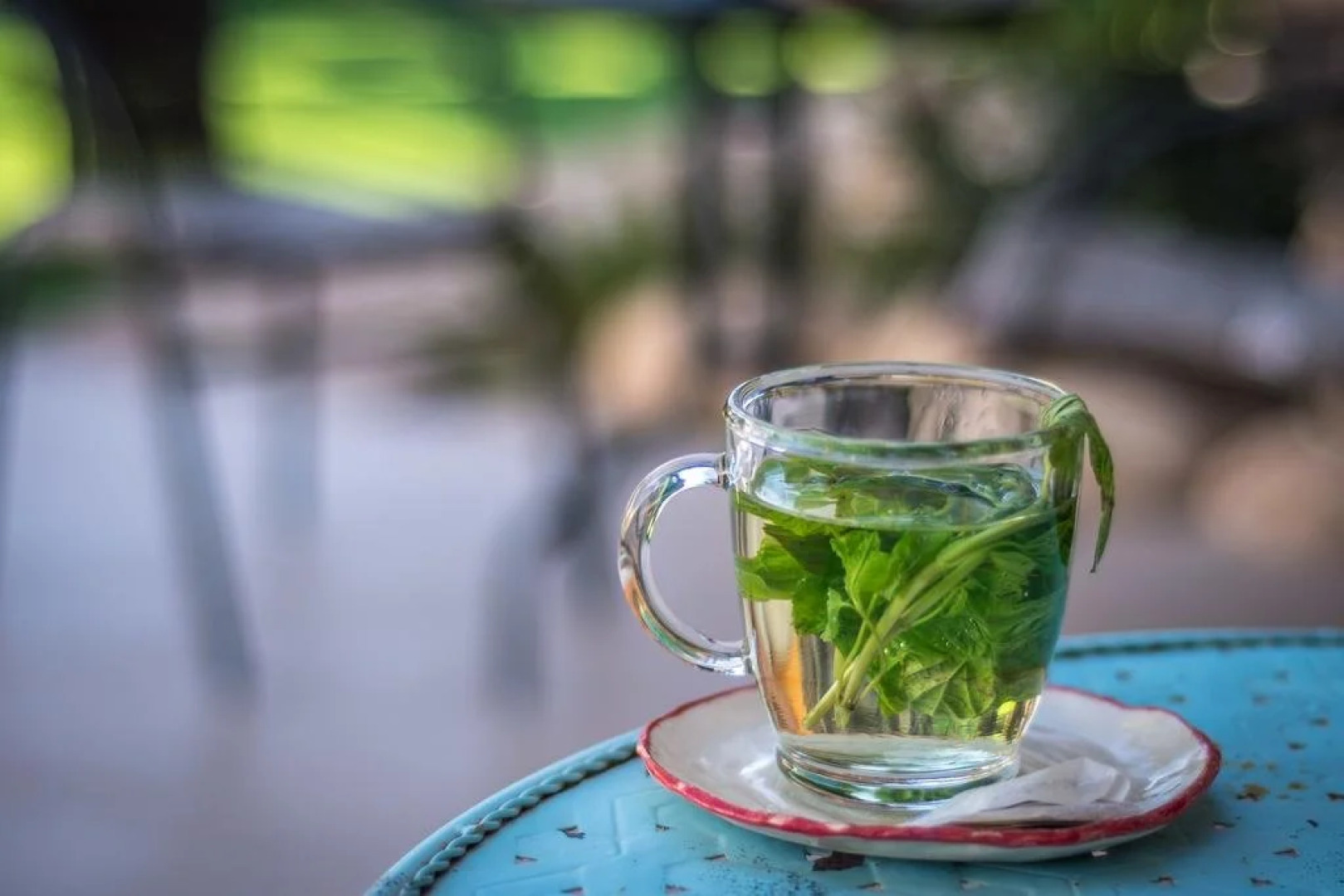 Desert Bird Guest House