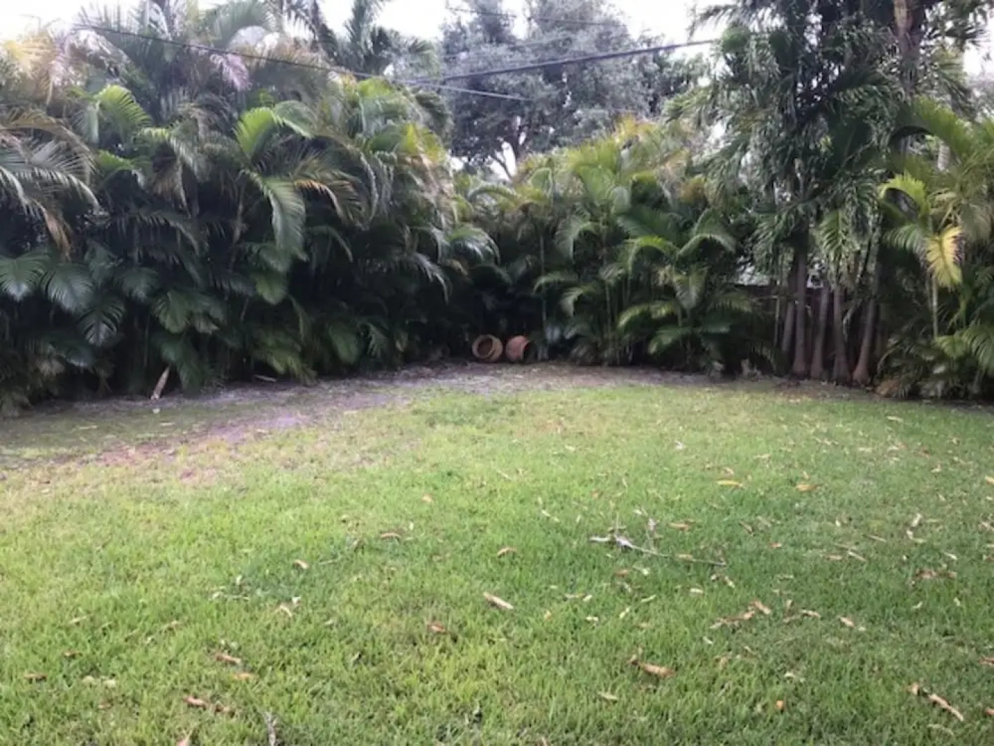 Marvelous Miami Shores