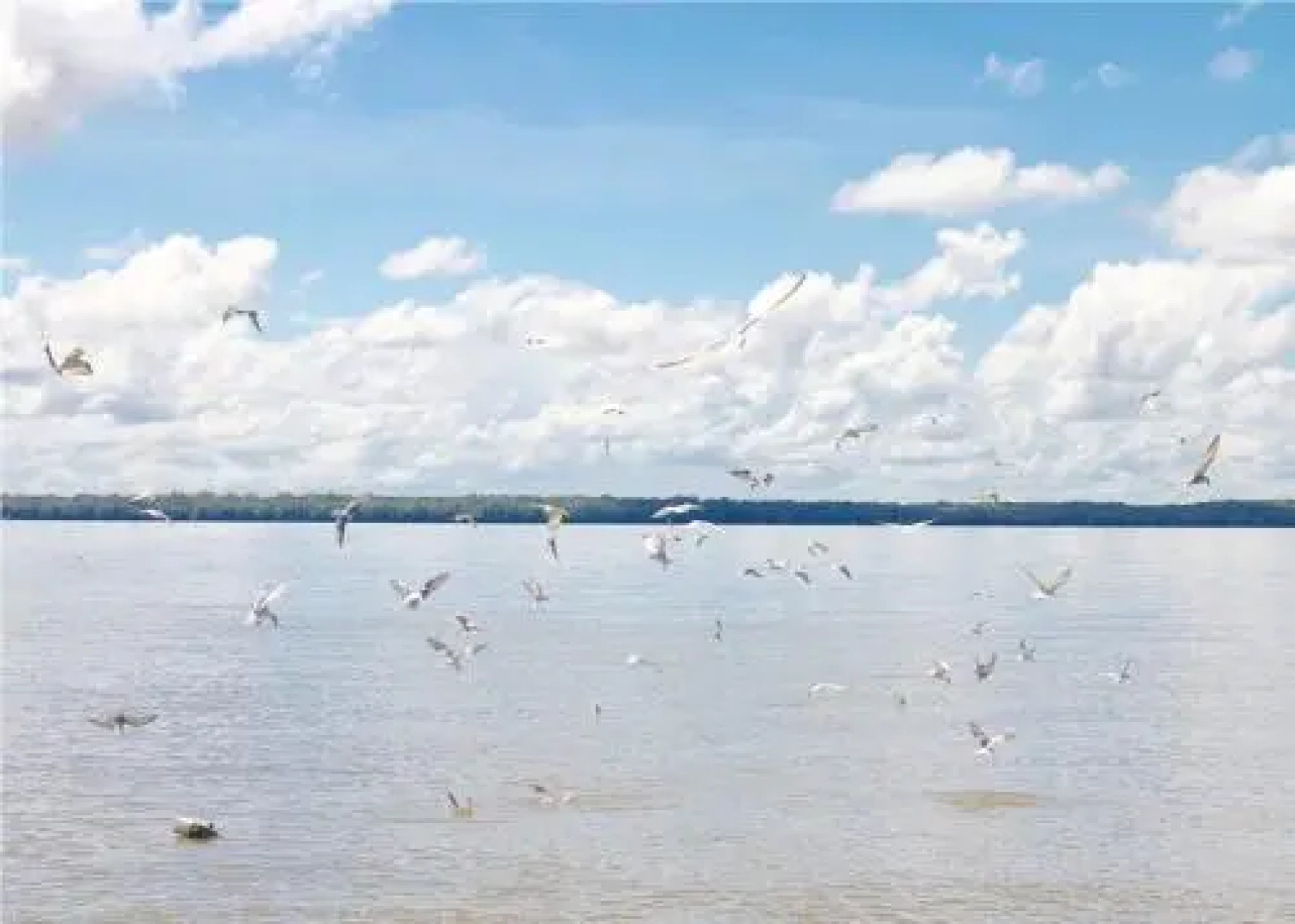 Kolapis Water Village Stays