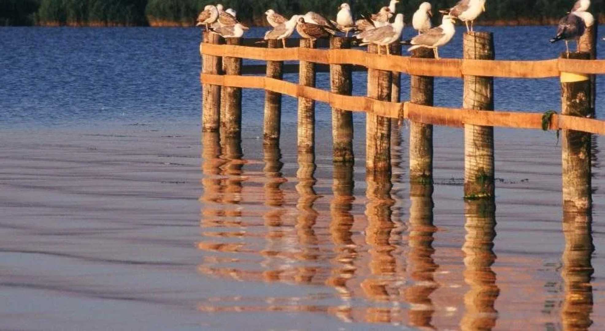 Hotel Weinland Donnerskirchen