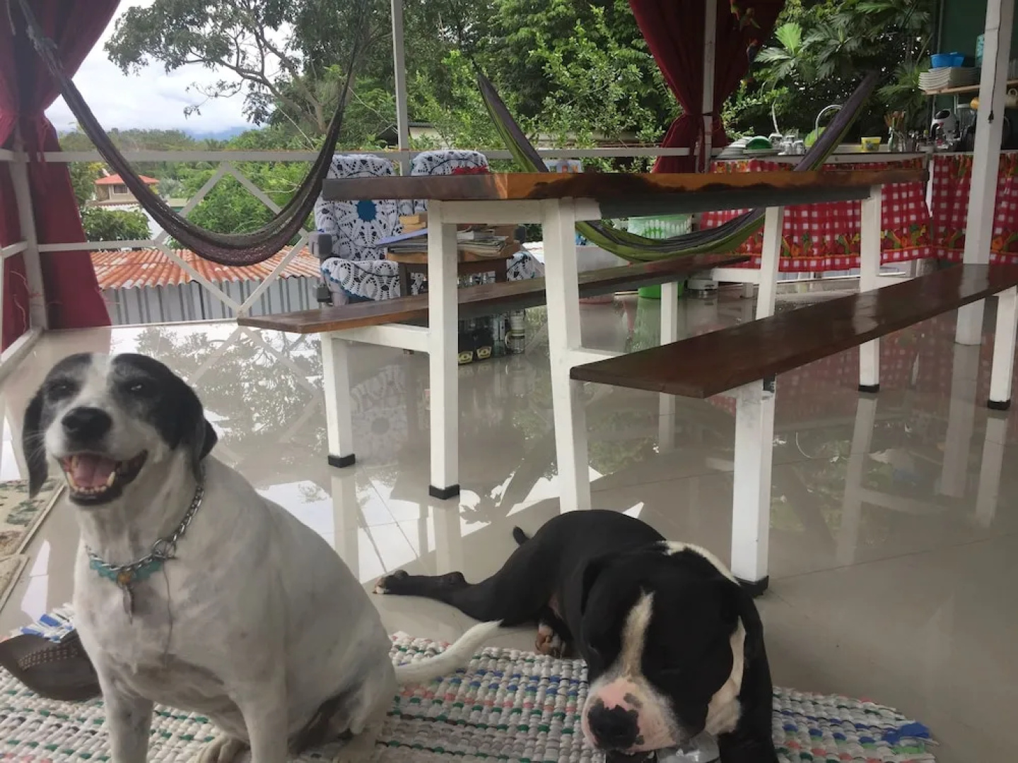 Guest House Pura Vida