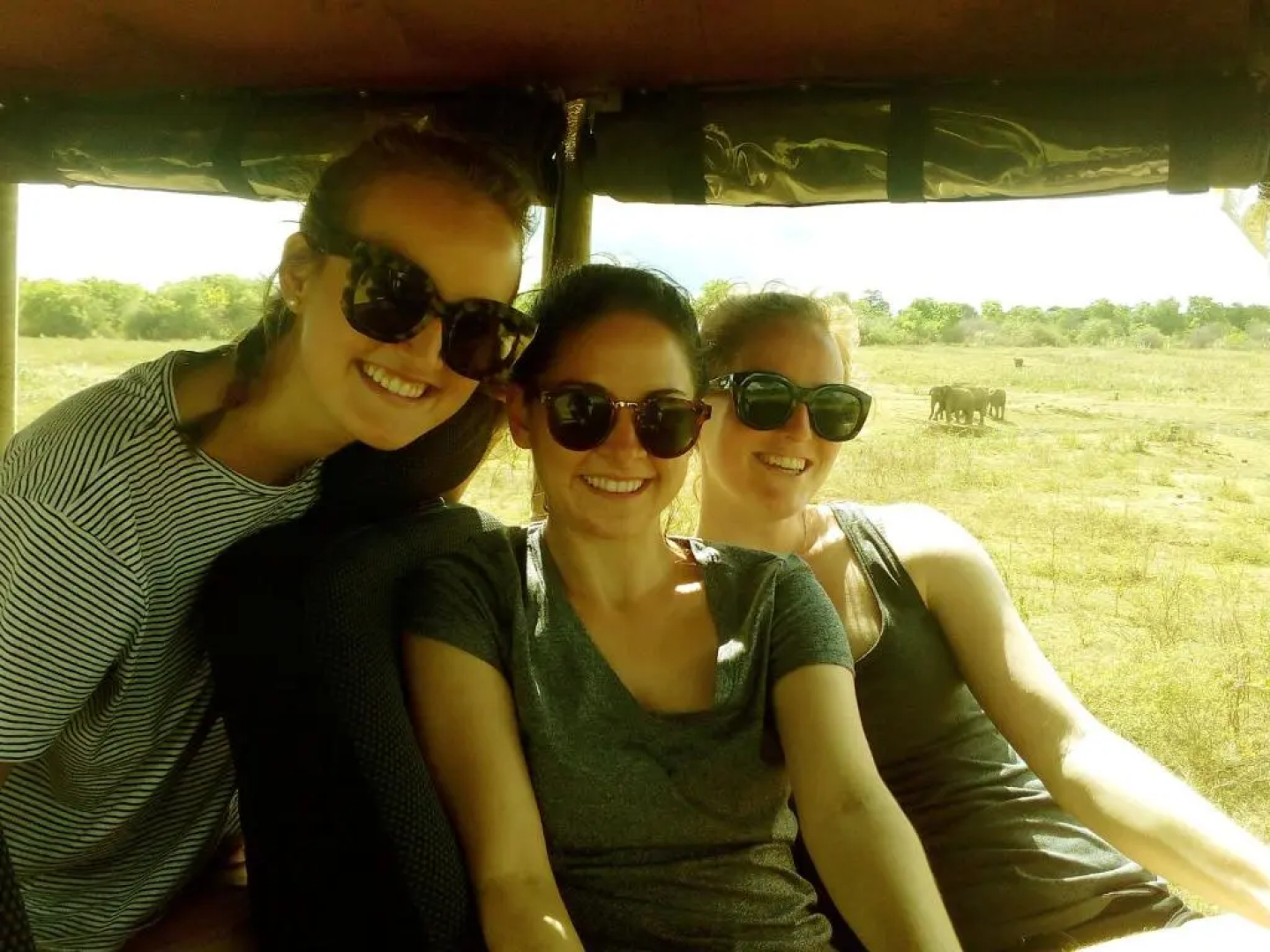 NATURE LOVERS family SAFARI RESORT