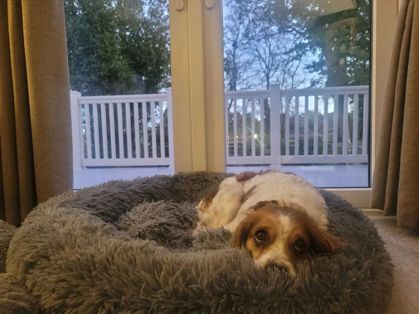 New Forest 2-bed Premium Holiday Home, New Milton