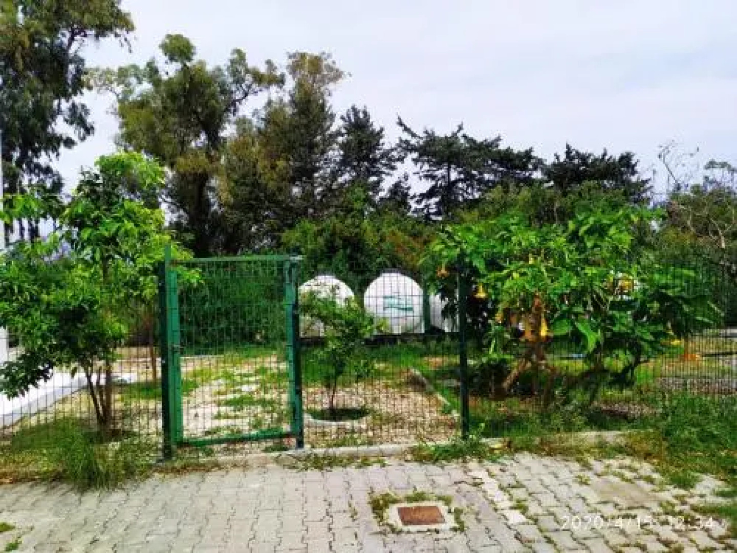 White Suit Apartment