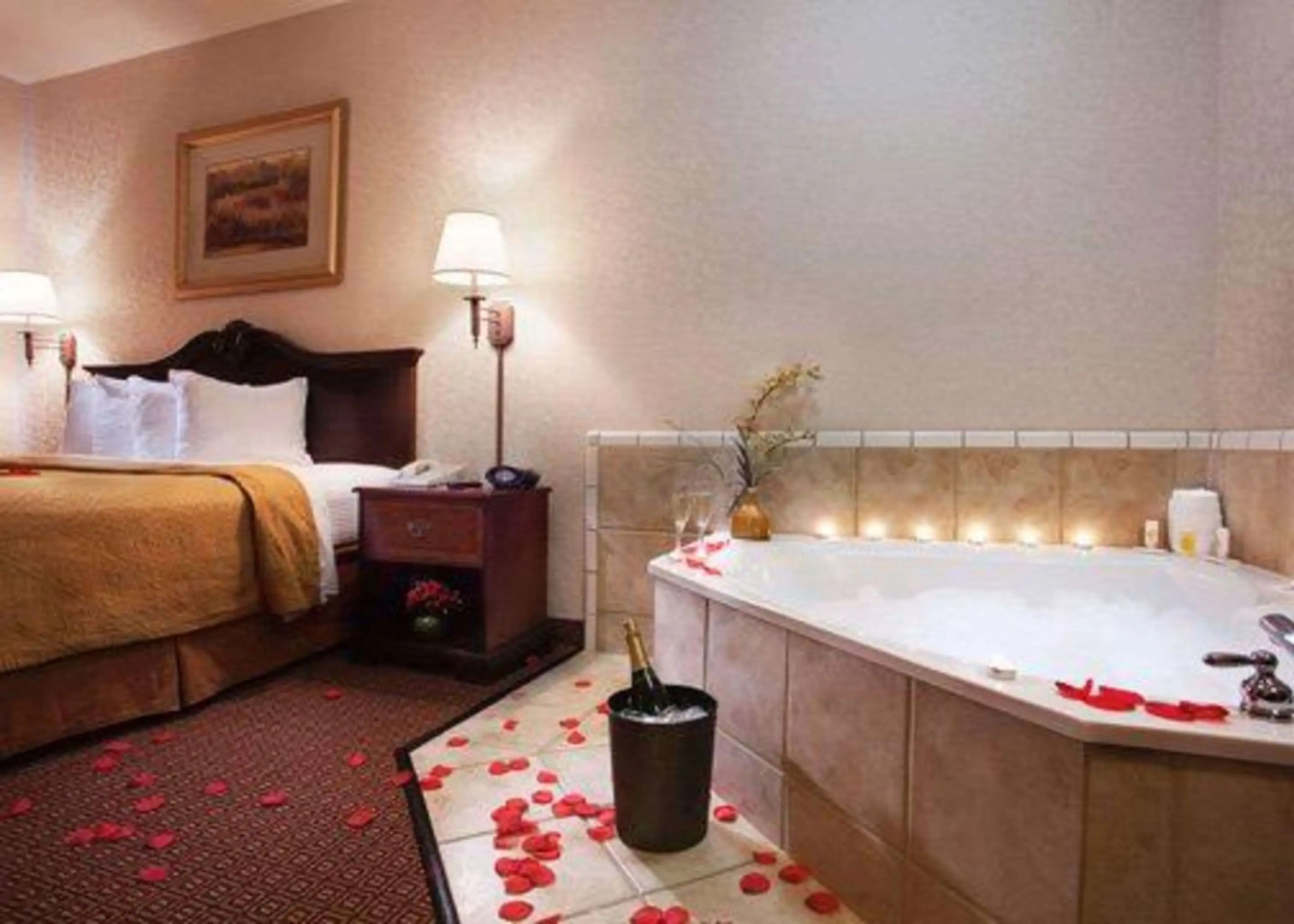 Quality Inn & Suites, Near University