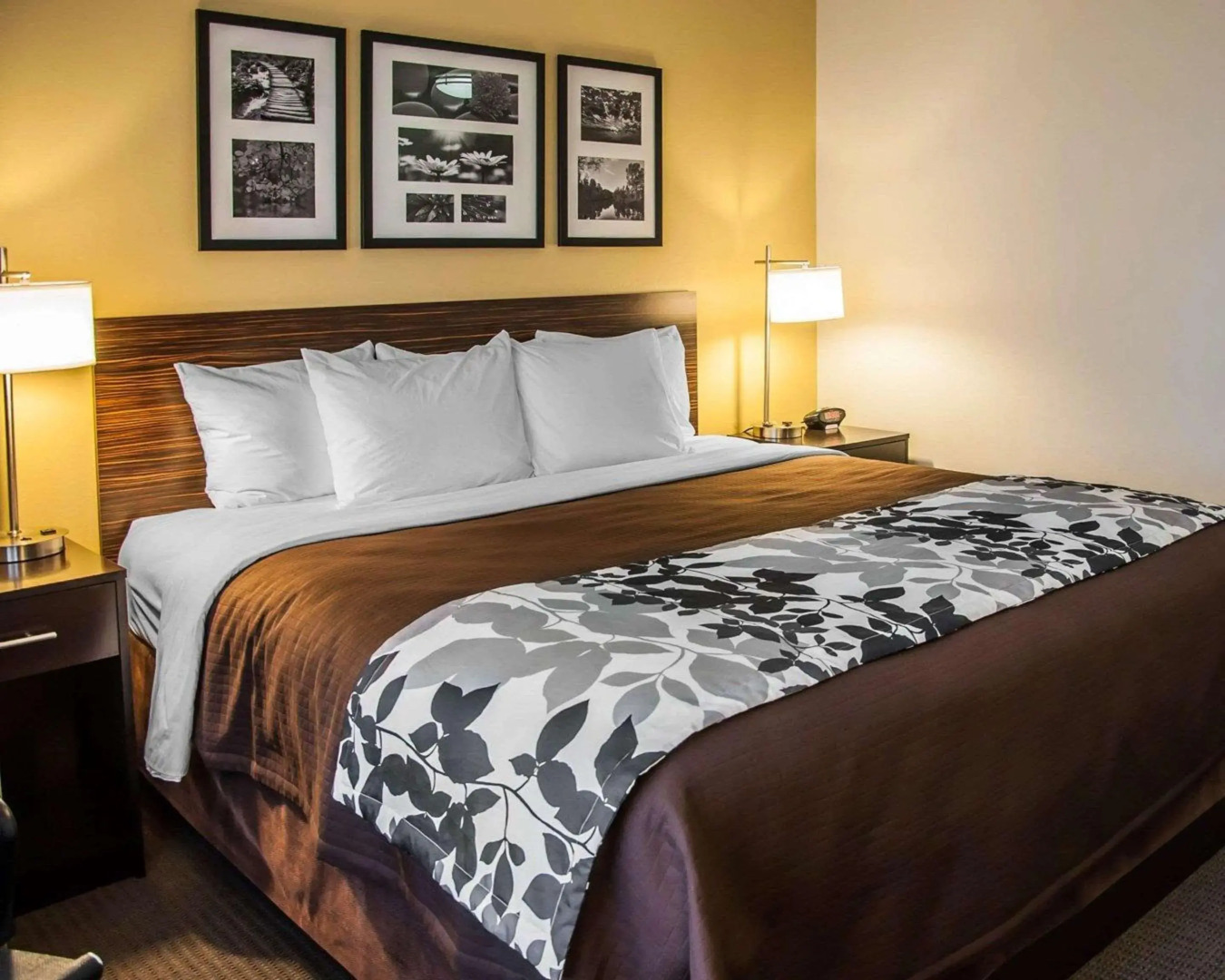 Sleep Inn & Suites Bismarck I-94