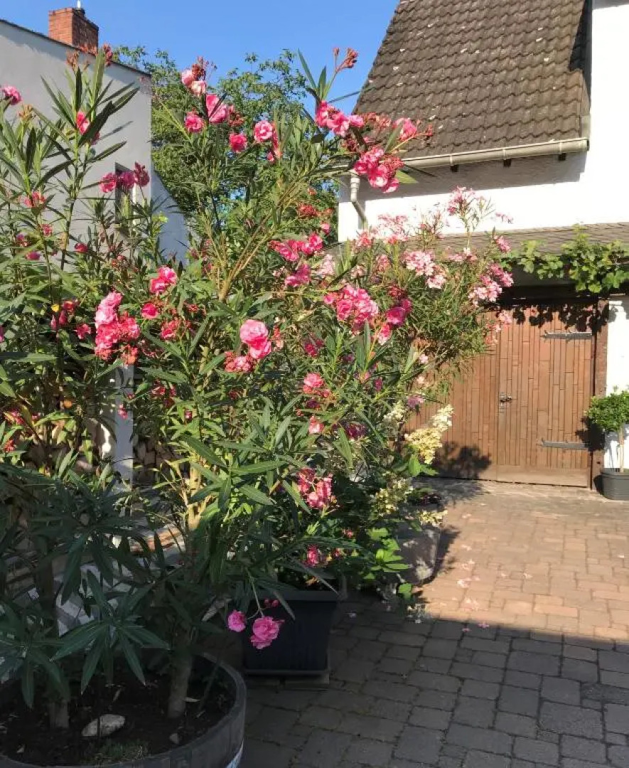 Onkel Nik - Premium Lofts & Apartments