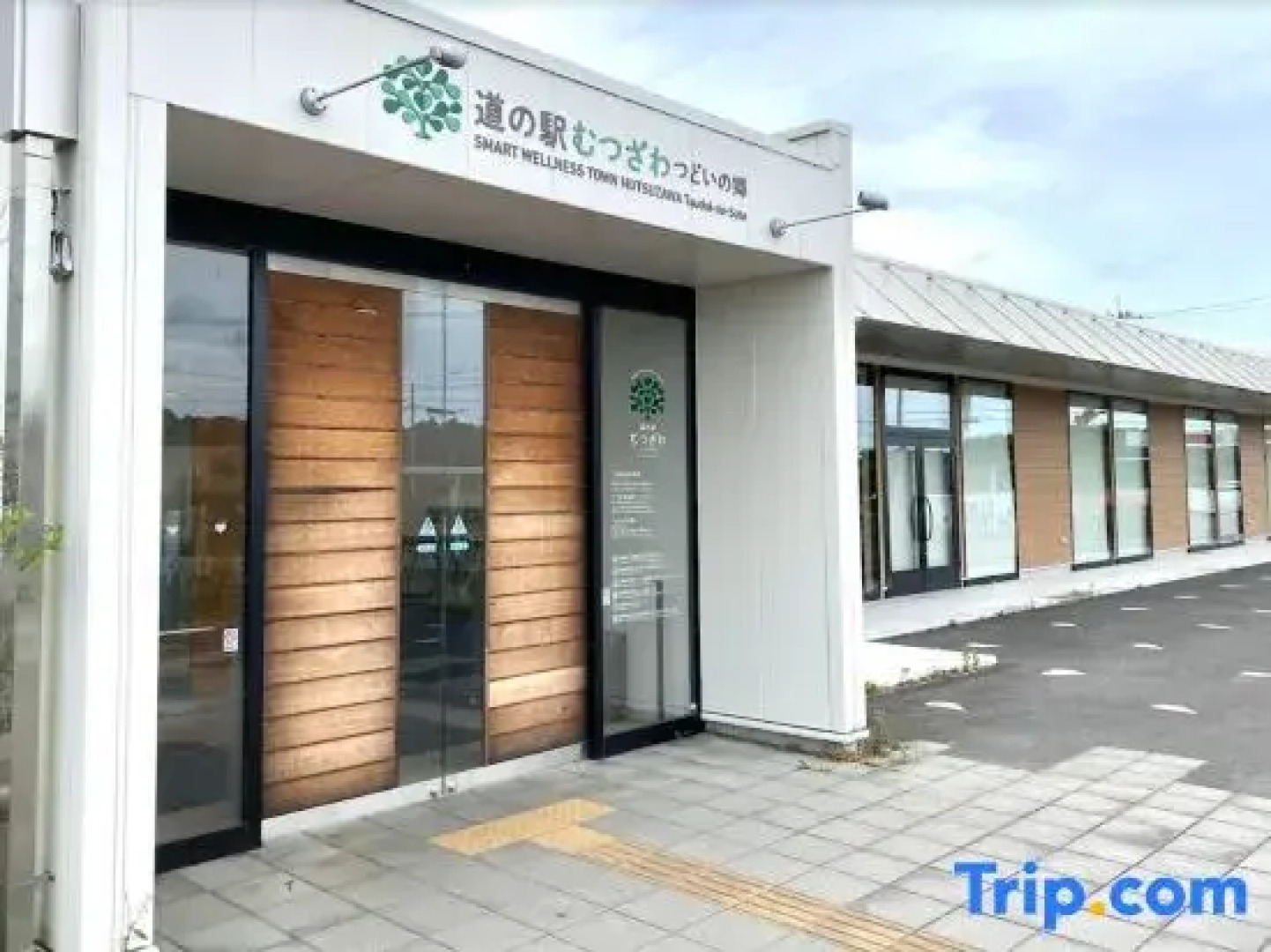 Malama Monstera In a botanical space, pls have a relaxing time.