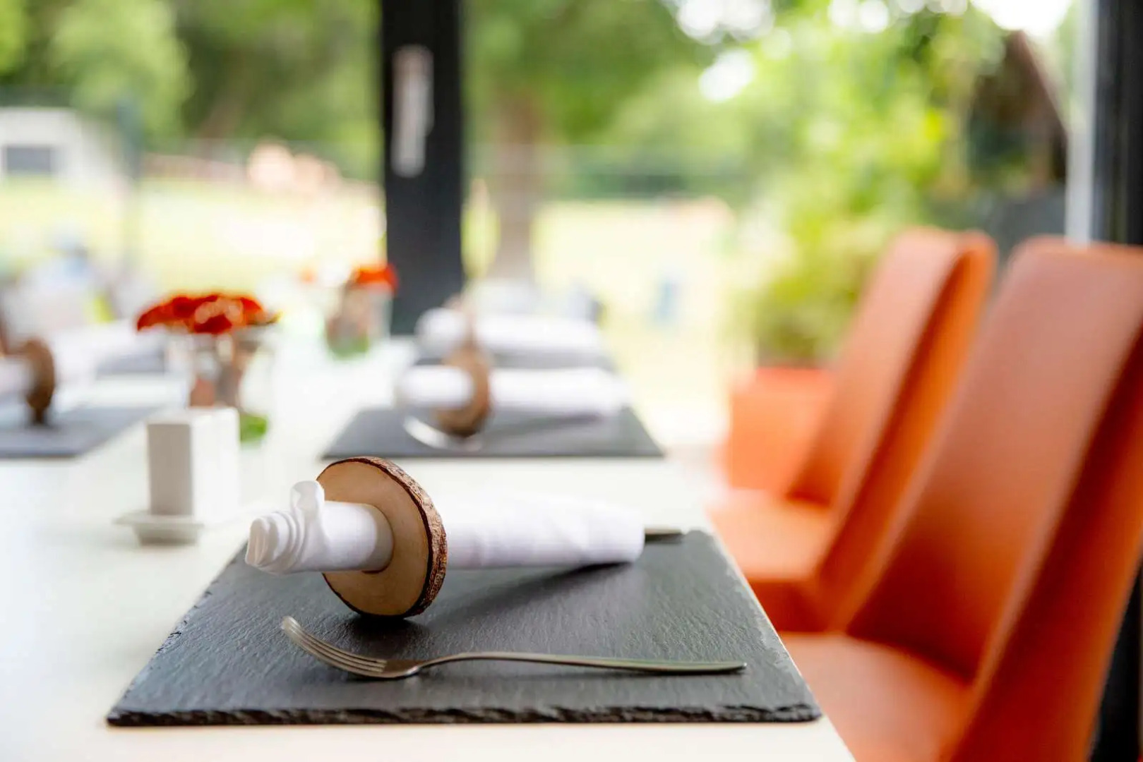 Friendly City Hotel Oktopus