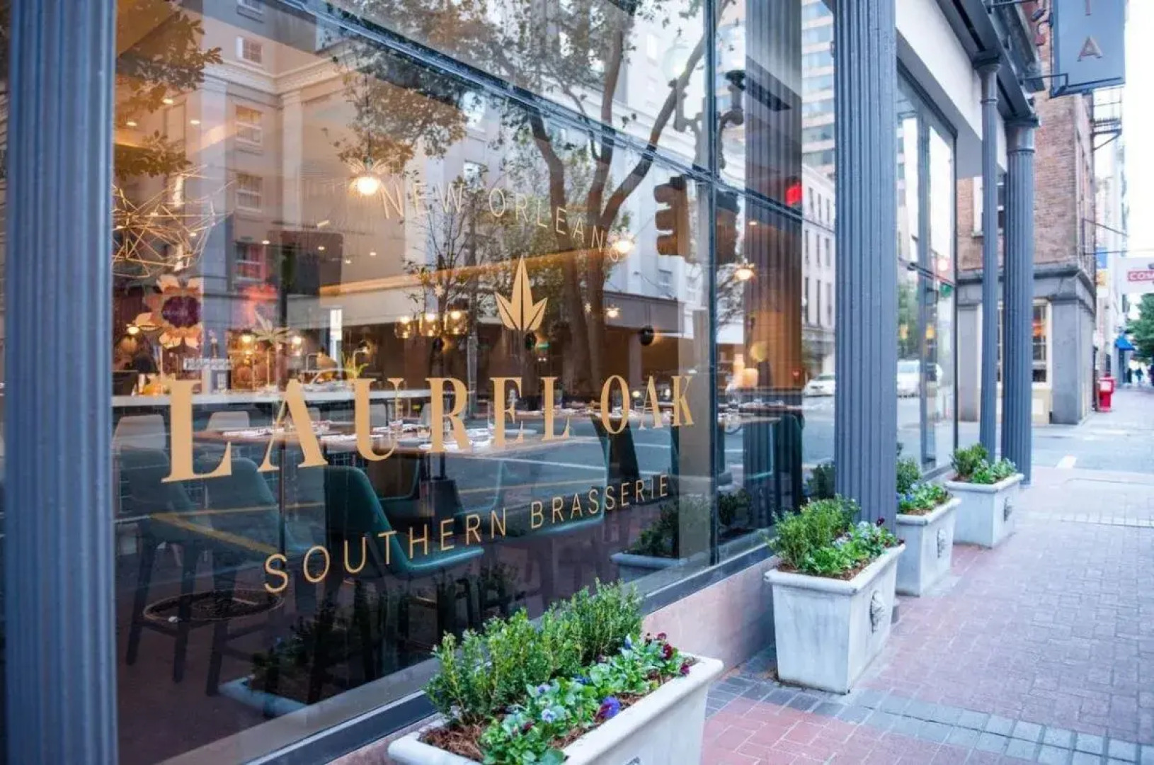 Magnolia New Orleans