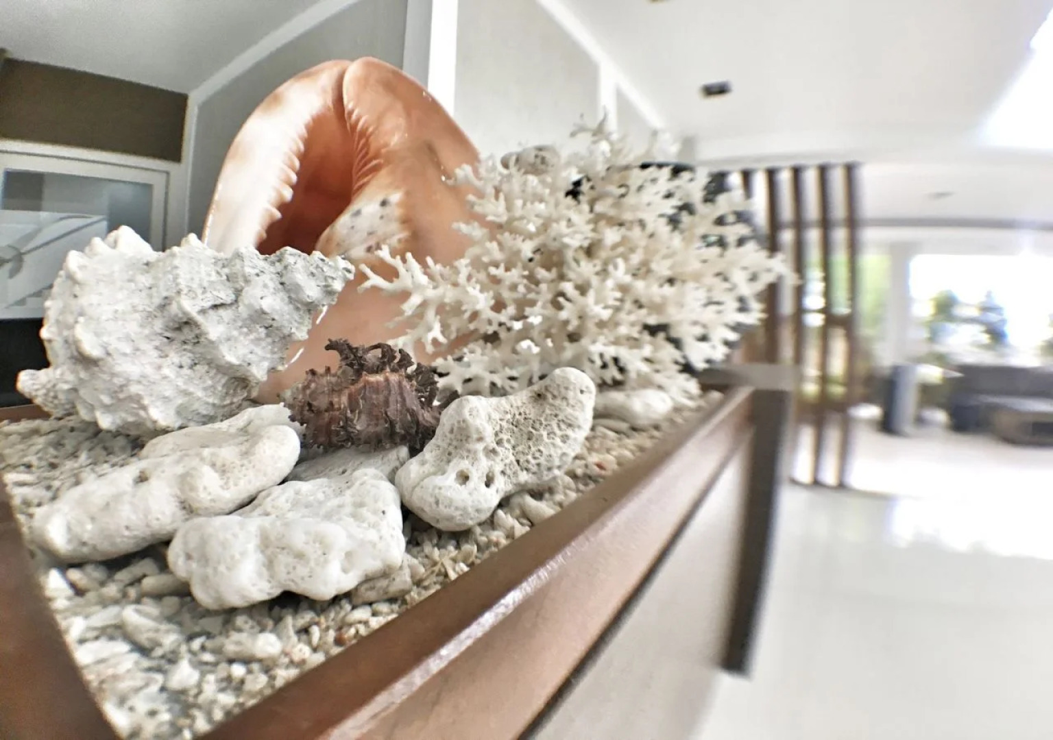 The Reef Hotel and Residences