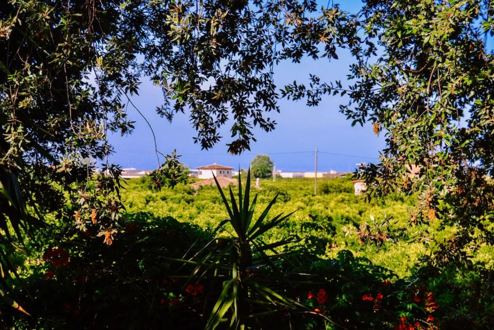 Masseria Brica Rossa