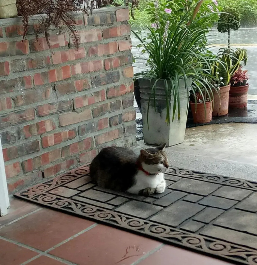 Little Time Guesthouse