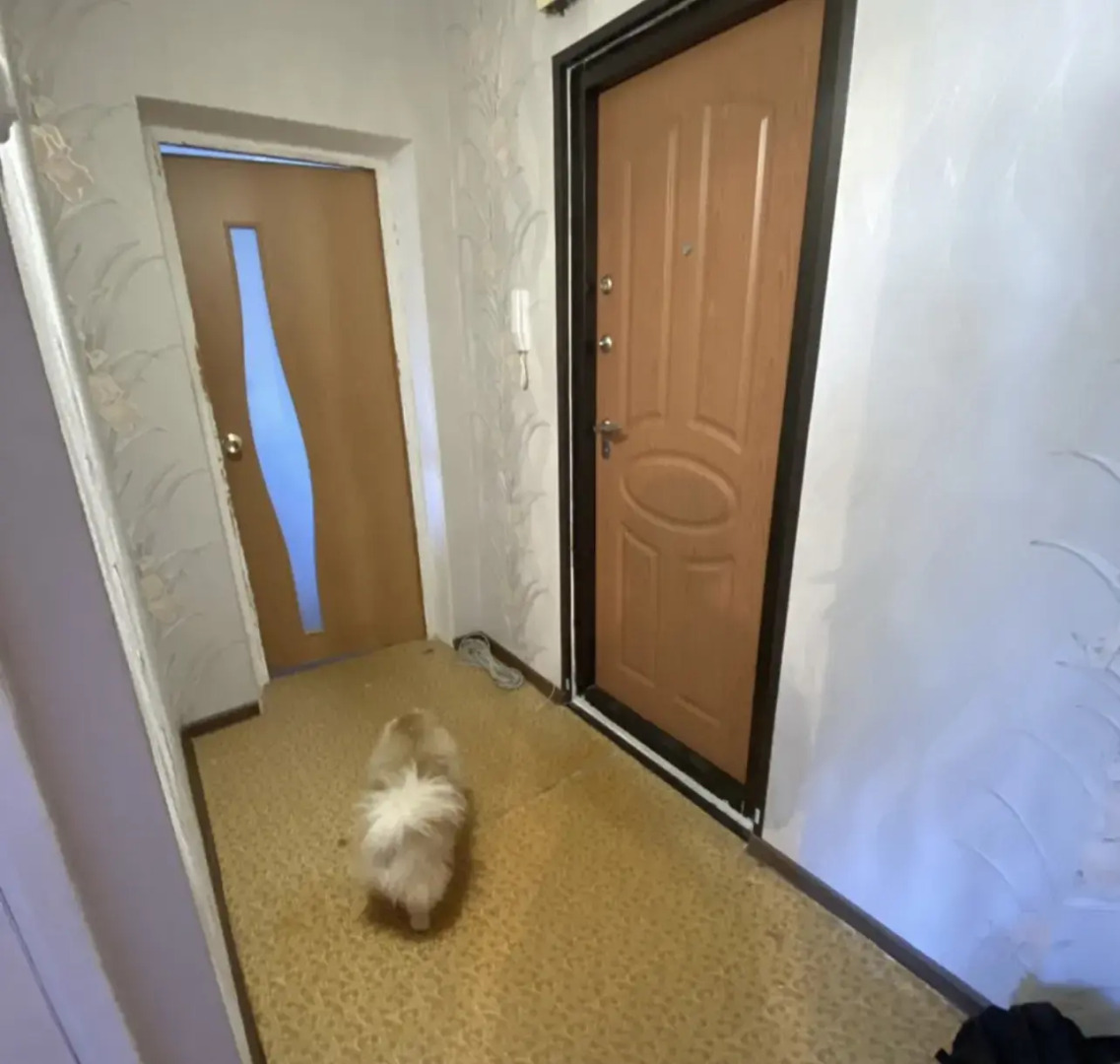 Апартаменты на улице Алтайская