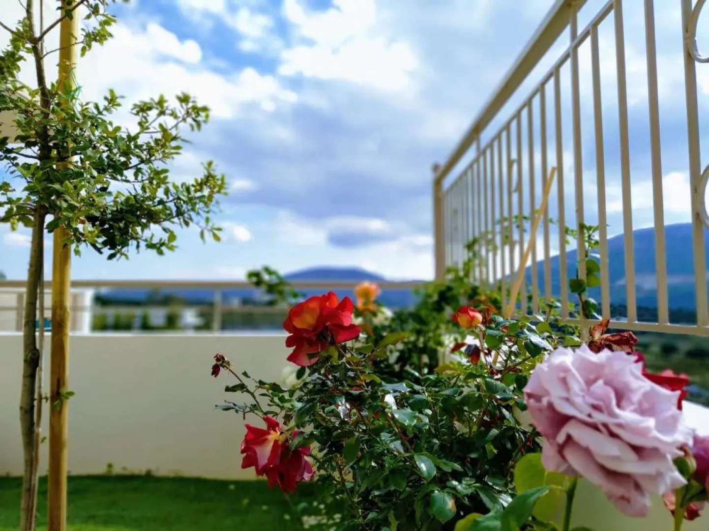 MiLo Luxury House -Free Airport pick up-10min drive