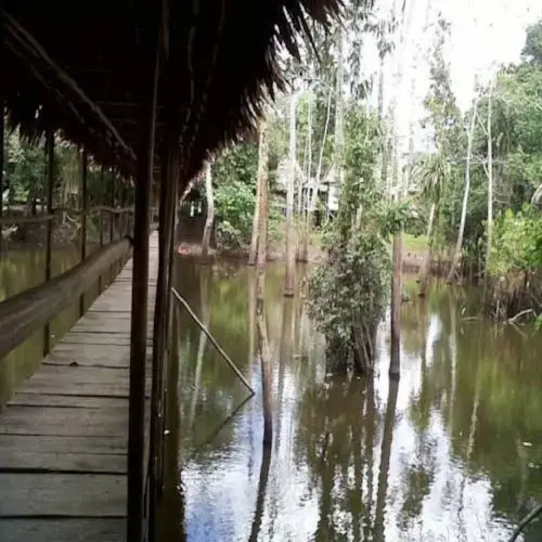 Yanapuma Explorer - Lodge & Adventure