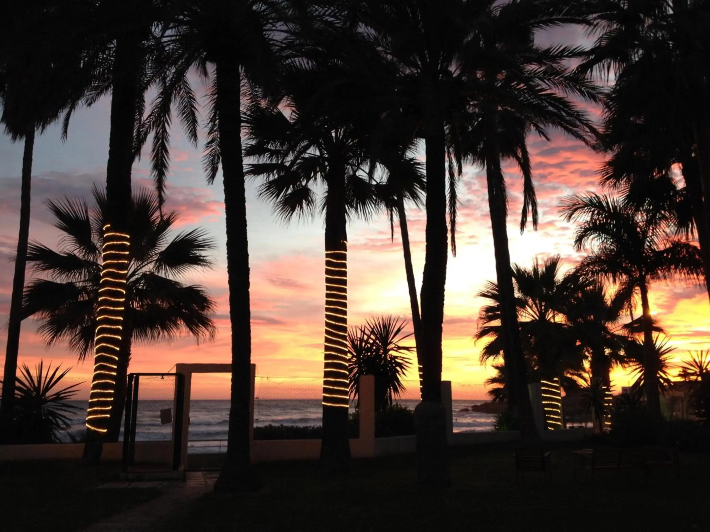 Apartamentos Playa Torrecilla