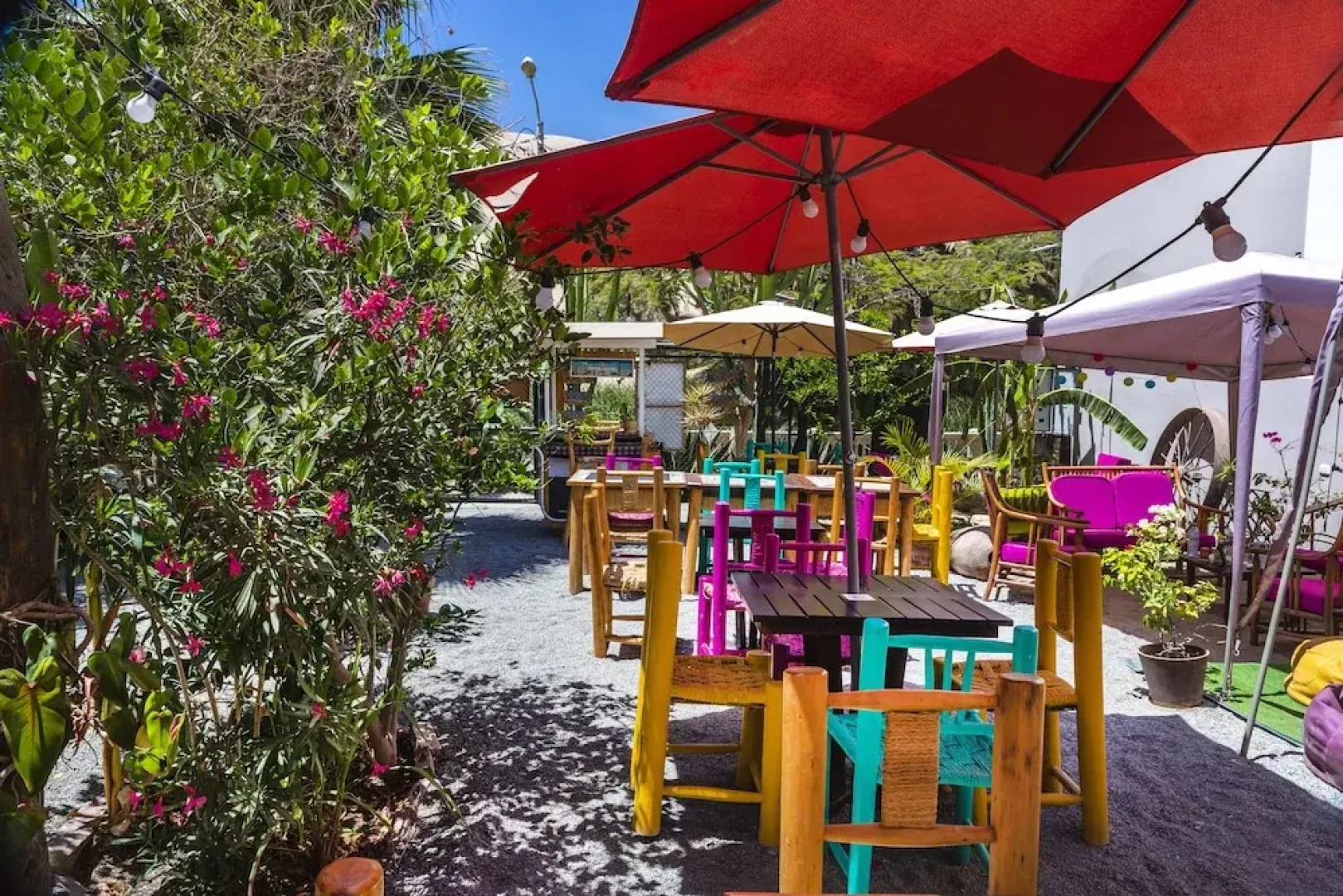 Bananas Adventure Hostel