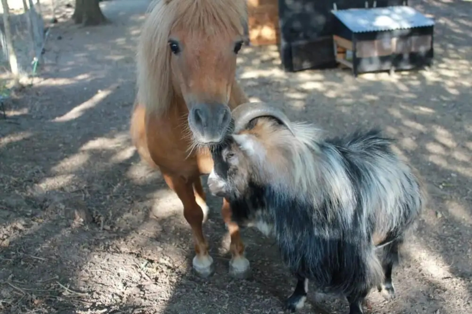 Gîte de La Huaudière