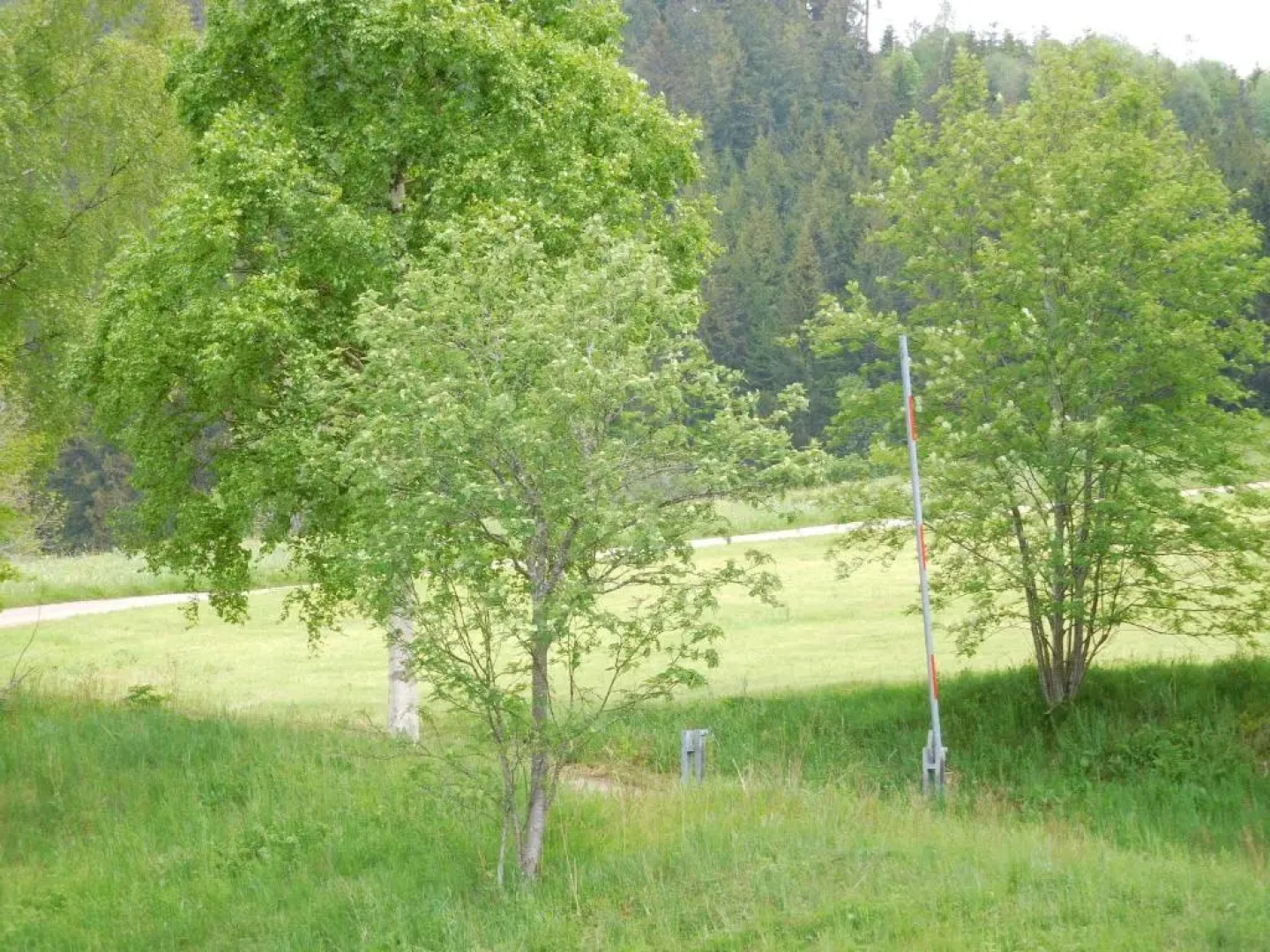Ferienhaus Grafenhausen
