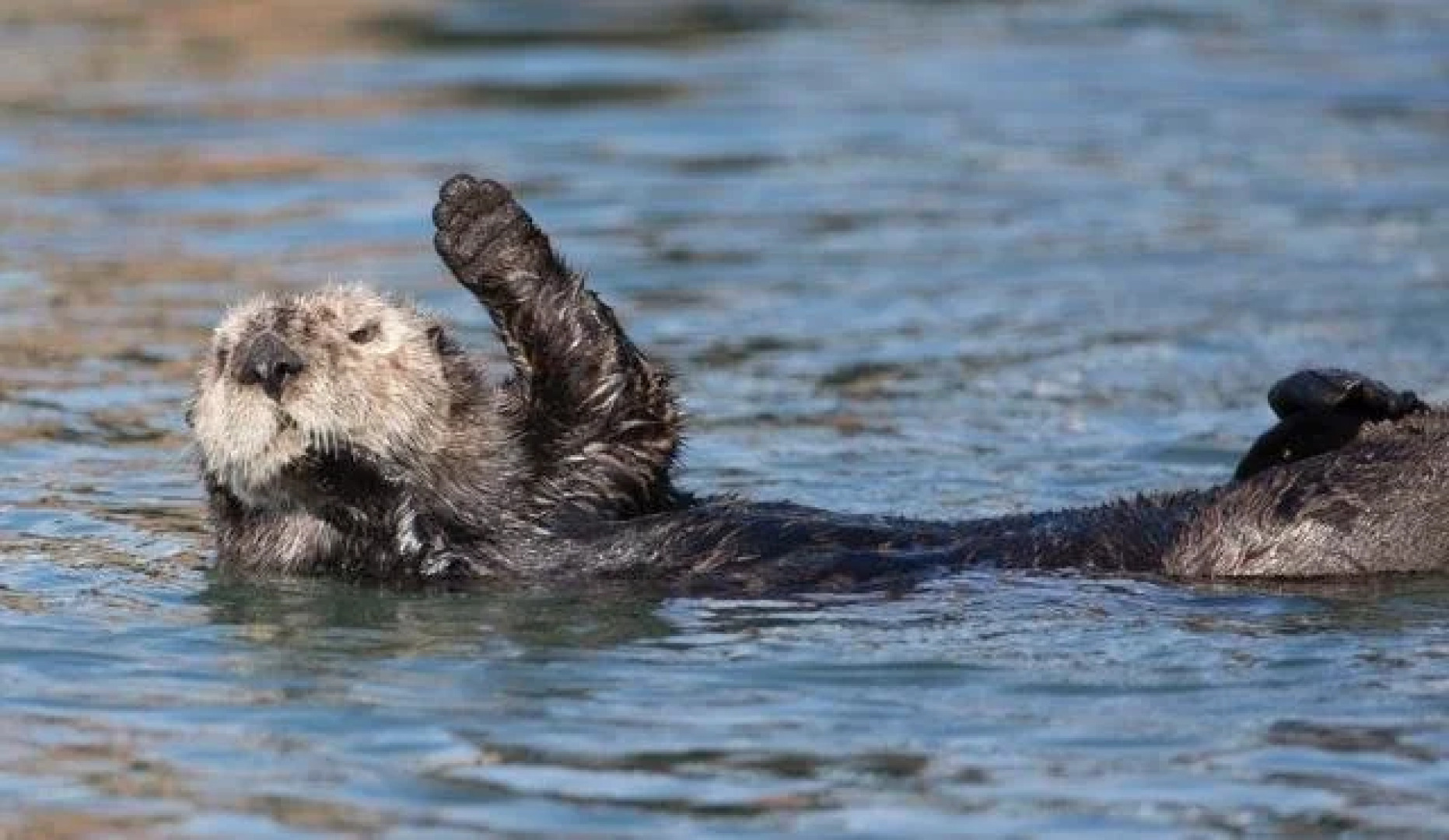 Front Street Inn and Spa