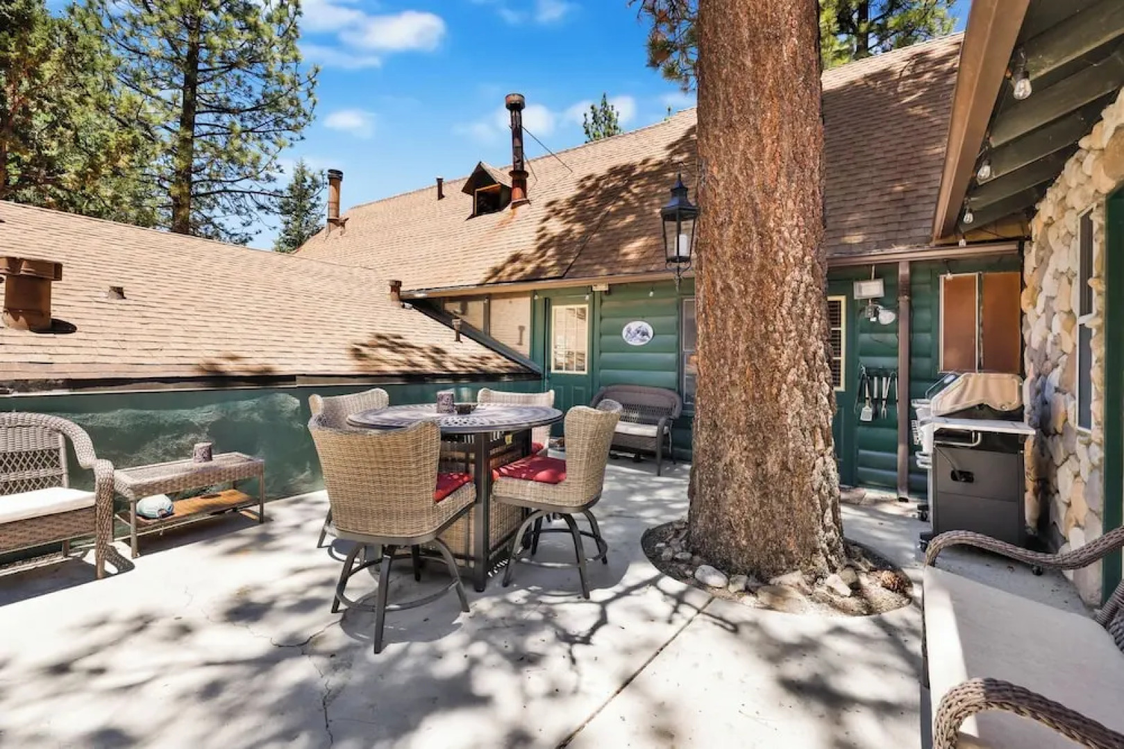 Polar Plunge BIG Bear #2031