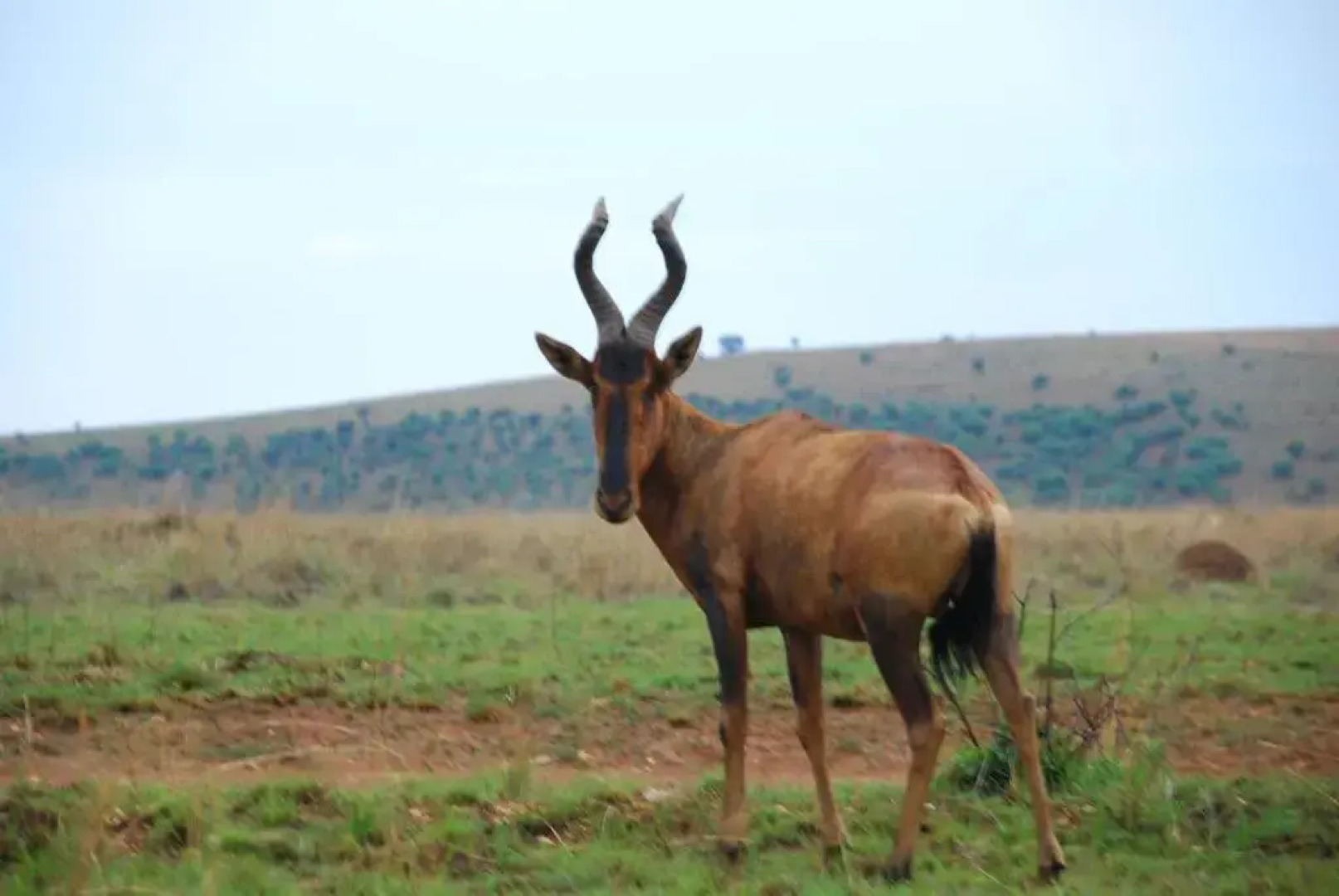 Forum Homini Boutique Hotel