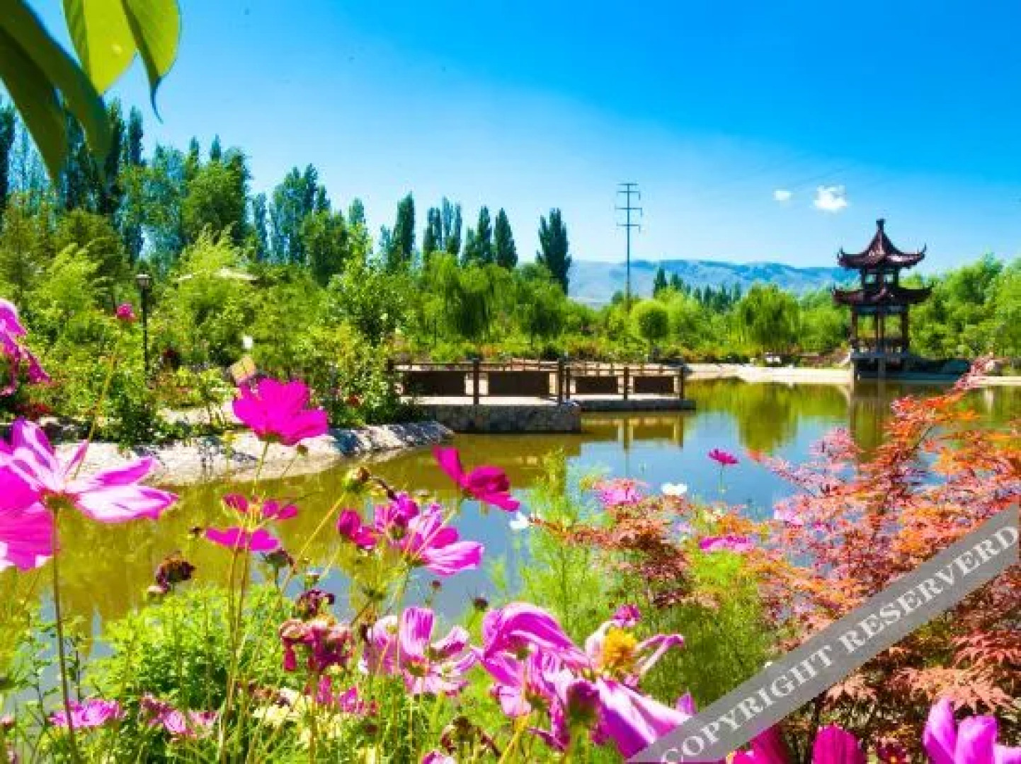 Qinyuan Holiday Hotel