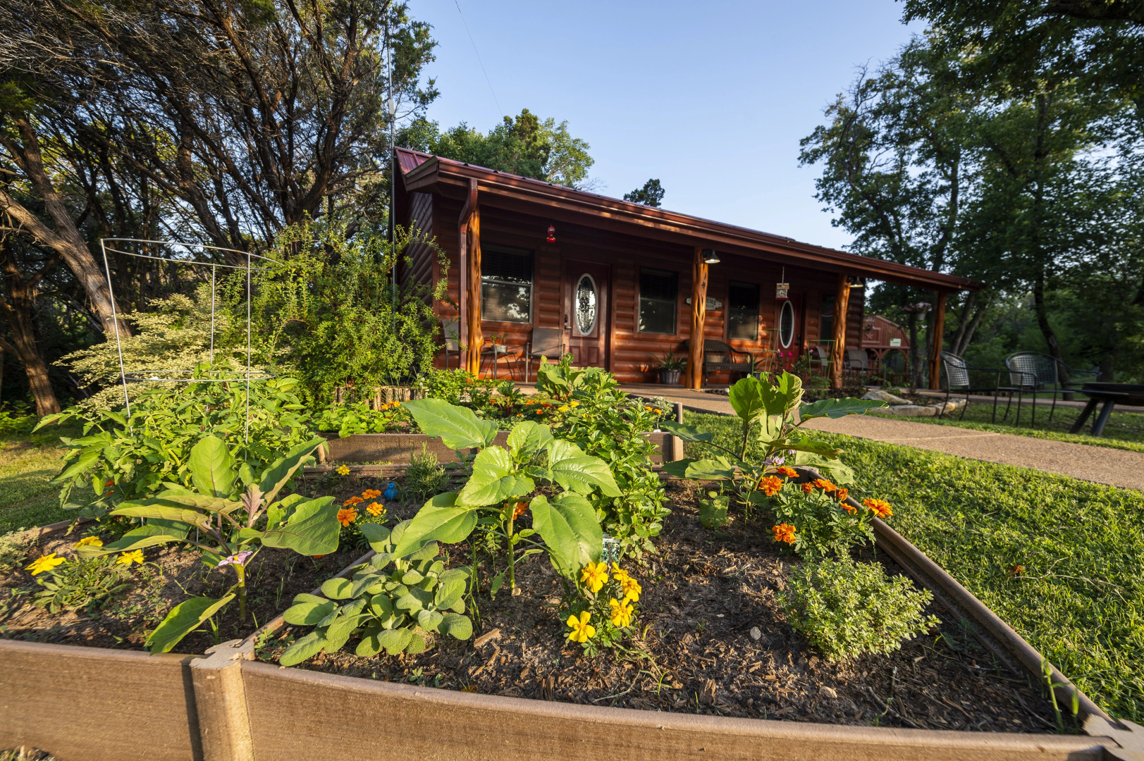 Cabin 3 Rental 15 Minutes From Magnolia and Baylor