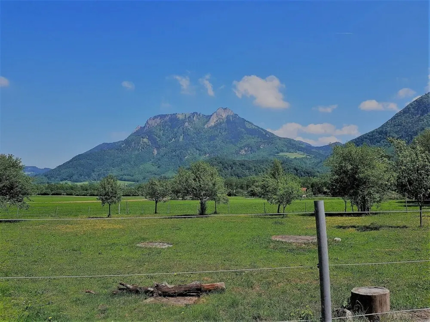 Ferienwohnung Riederhof
