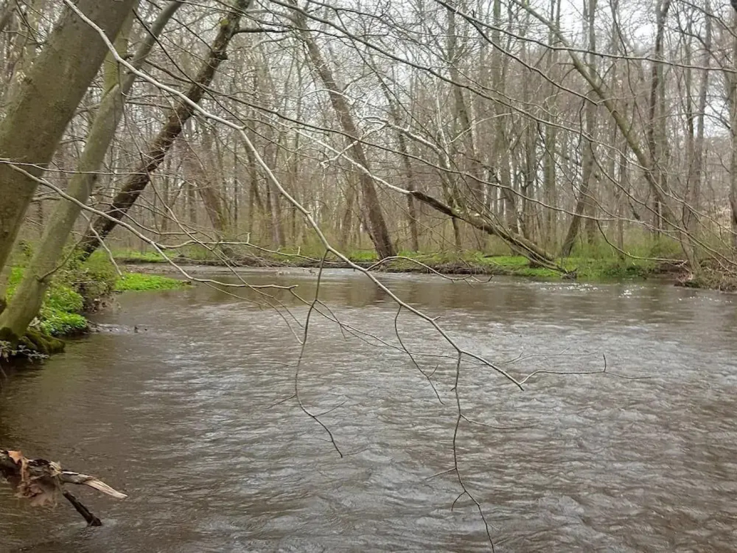 Tentrr - Creekside Woods Getaway