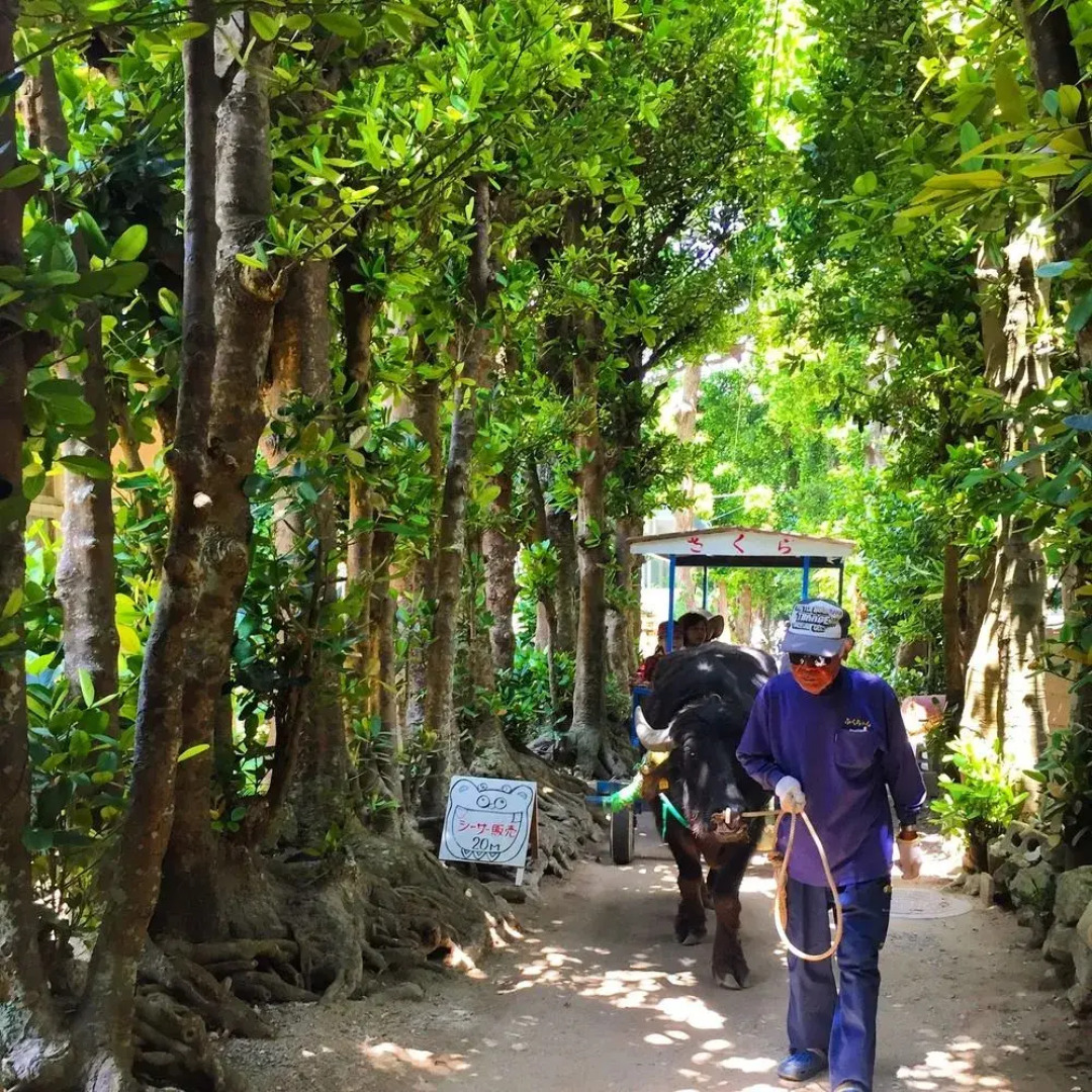 Guesthouse Seagull Village