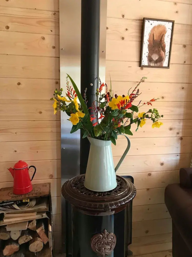 Off Grid 1-bed Cabin, Pets Ok, 20 Mins to Dunoon