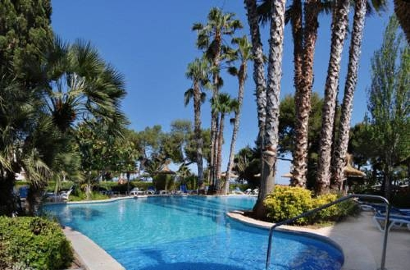 Orquidea Playa Aparthotel & Spa