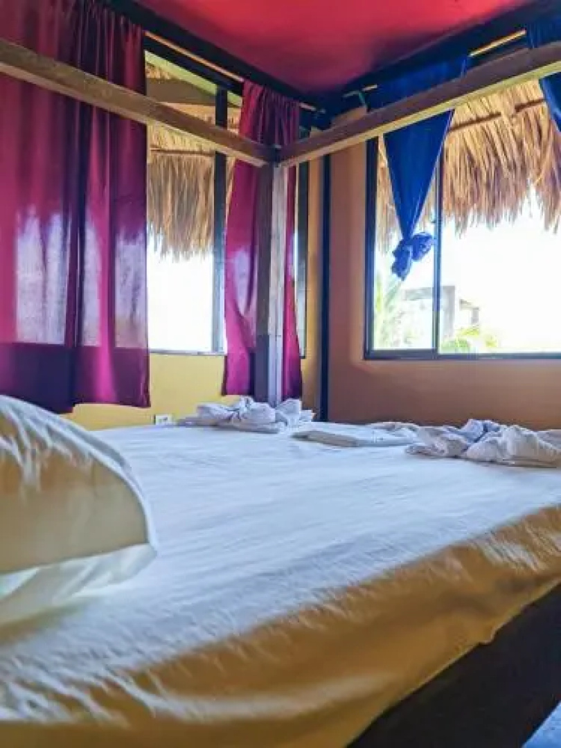 Surfing Turtle Lodge