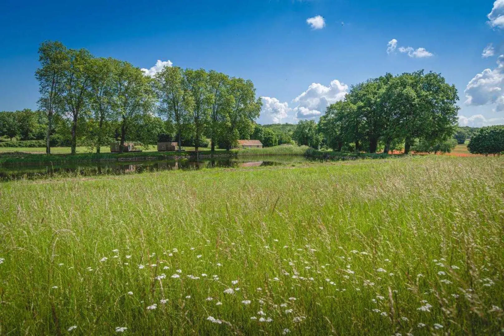 Domaine de Roiffé
