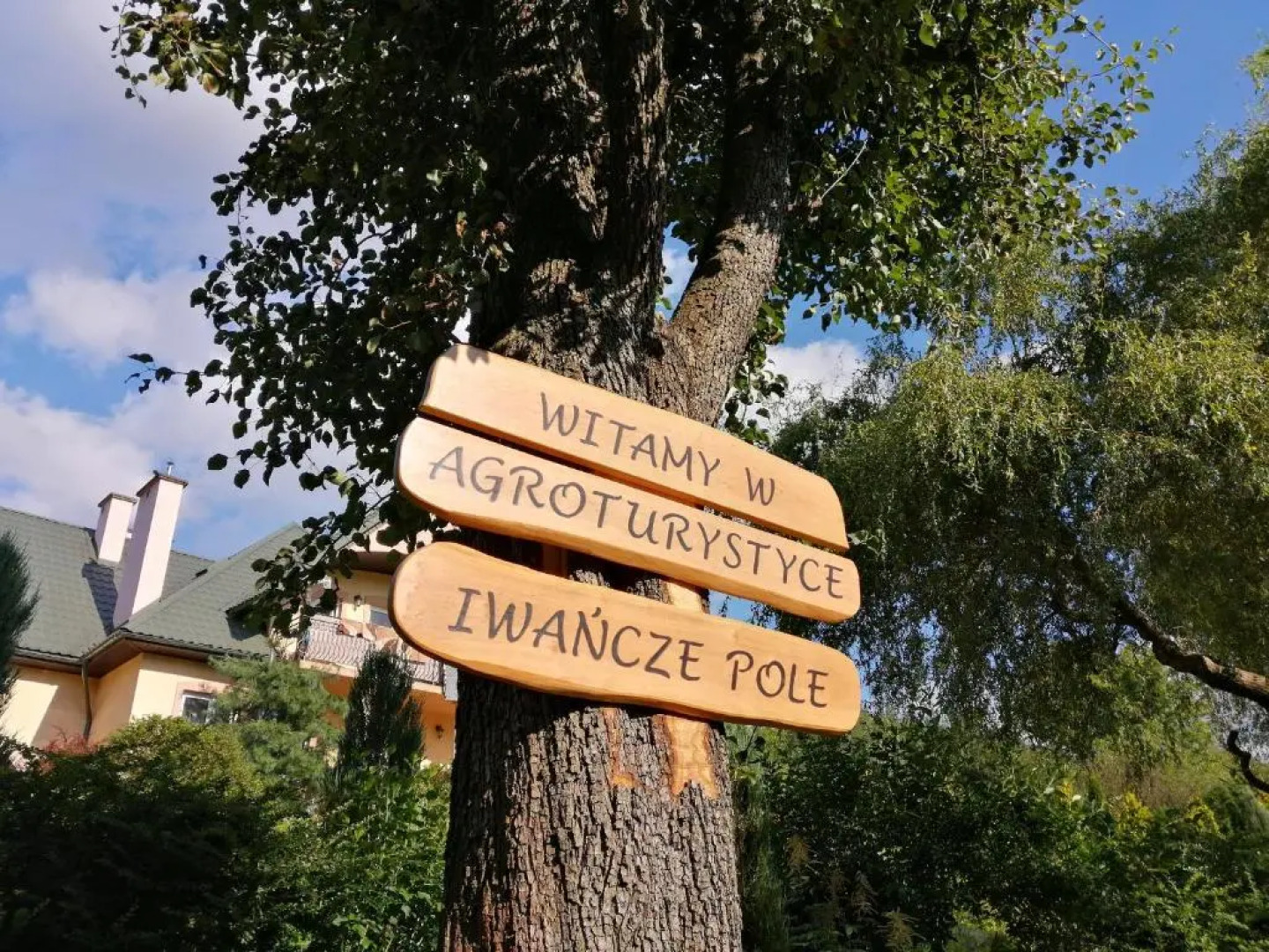 Agroturystyka Iwańcze Pole