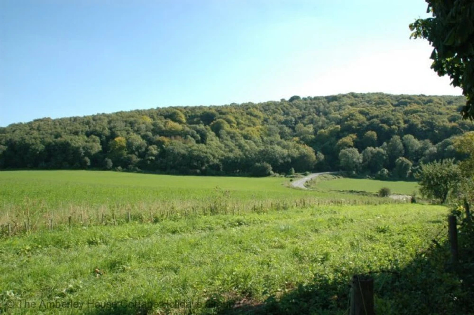 The Woodland Cottage