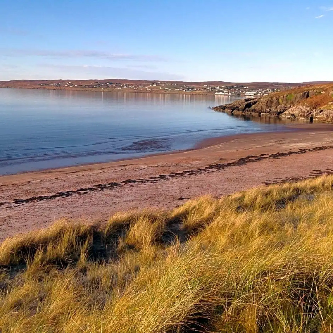 Oakwood Bed  Breakfast