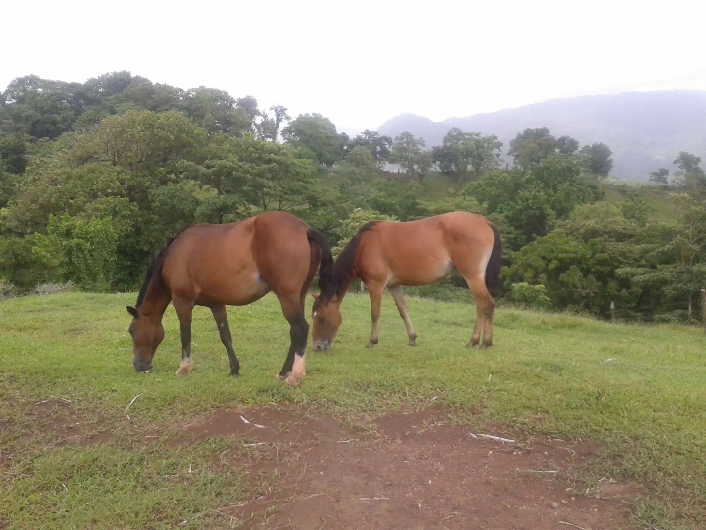 Rancho Juancho