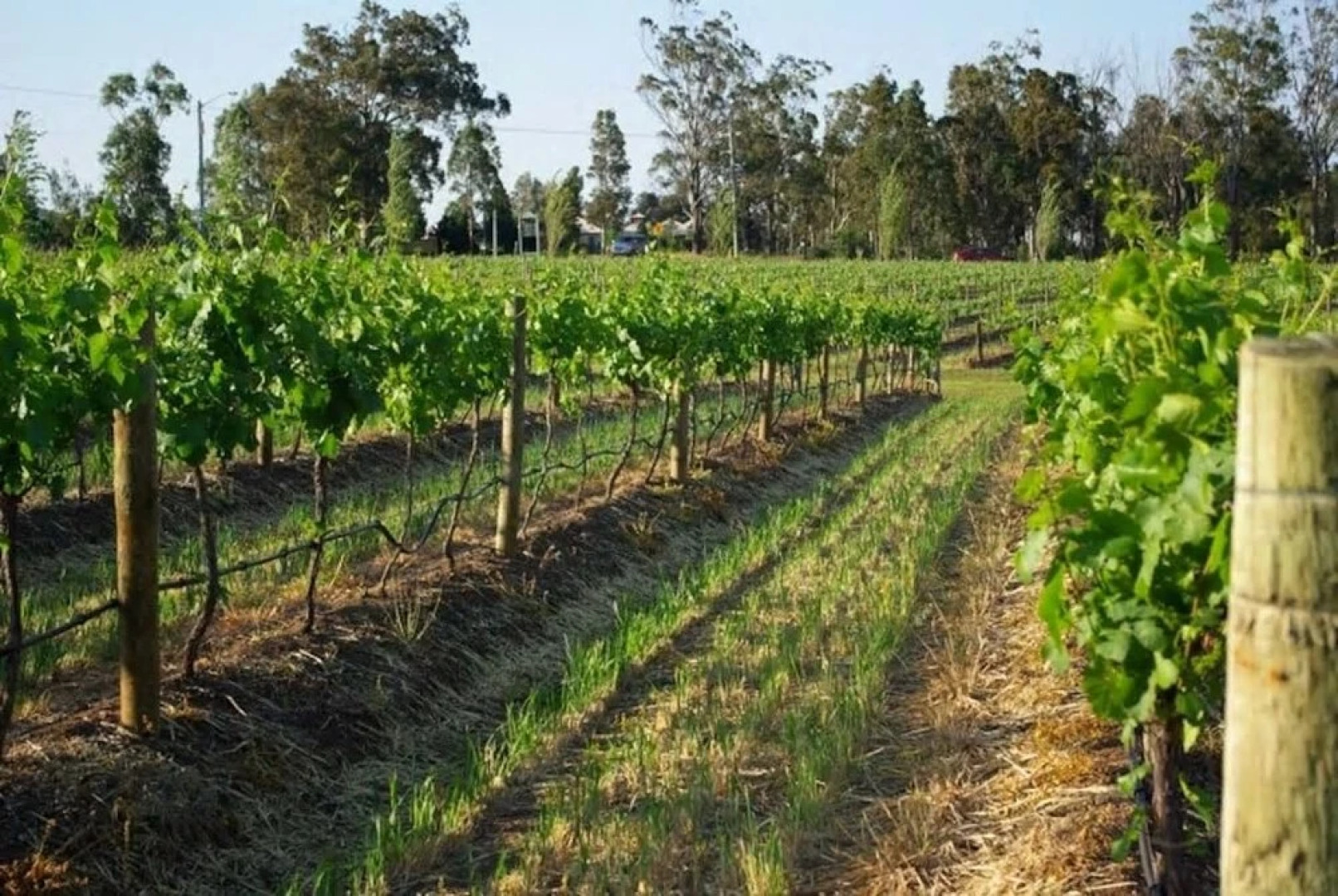 Studio Cottage At The Wines