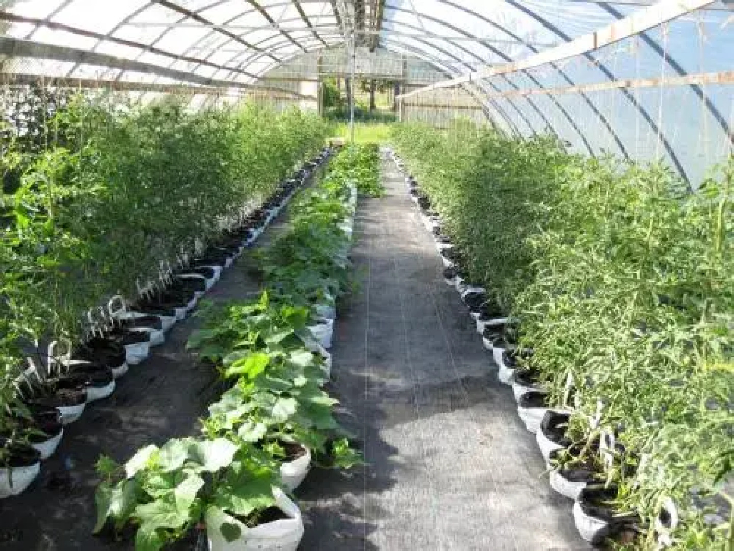 Närebo Gårdshotell