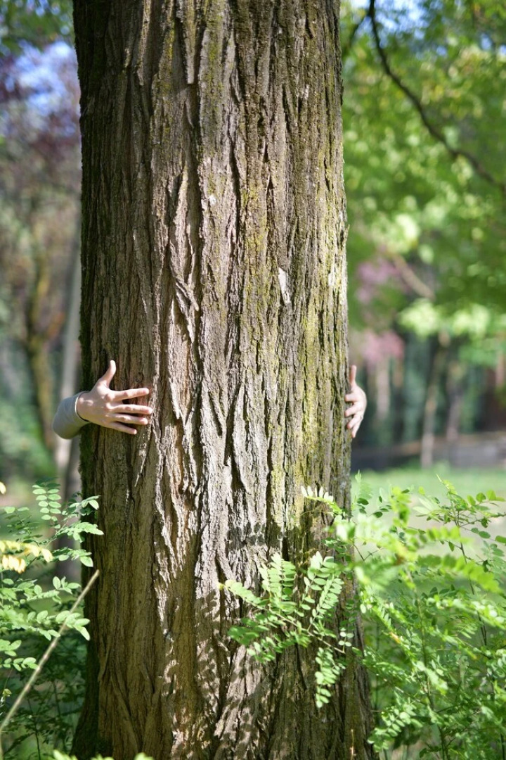Il Convento di Villa San Fermo